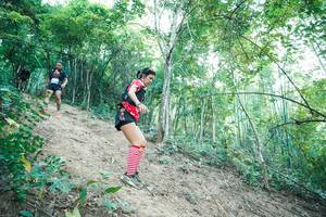 BIB: 
                            <button type="button" onclick="openModal(28161422)" class="btn btn-primary btn-sm float-right btn-popup" data-toggle="modal" data-target=".modal-high-quality">
                        <i class="fas fa-shopping-cart"></i> Add to Cart
                    </button>
                                            <button type="button" onclick="isThisMe(28161422, true)" class="btn btn-success btn-sm float-right btn-popup btn-isme hidden" data-toggle="tooltip" data-placement="bottom" title="นี่คือรูปของคุณใช่ไหม คลิกที่นี่เพื่อเอาเข้าอัลบั้ม">
                        <i class="fas fa-plus"></i> Add to album
                    </button>
                    <button type="button" onclick="isThisMe(28161422, false)" class="btn btn-warning btn-sm float-right btn-popup btn-isnotme hidden">
                        <i class="fas fa-ban"></i> Remove from album
                    </button>